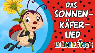 Das Sonnenkäferlied Erst kommt der Sonnenkäferpapa  Kinderlieder zum Mitsingen  Liederkiste [upl. by Hauger]