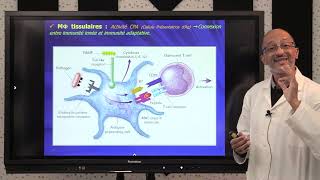 7 IMMUNOLOGIE S5  Cellules du Système Immunitaire inné part 2 [upl. by Endaira]