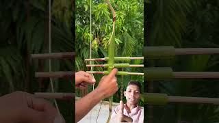 Bamboo craft ideas bamboo bamboogun bow bowandarrow bowmaker [upl. by Ayik]