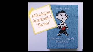 quotMikołajekquot rozdział 3 quotRosółquot  audiobook [upl. by Fayina]