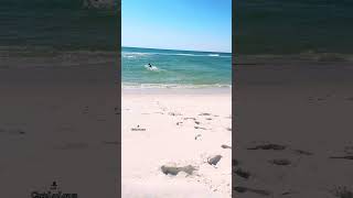 Pensacola Beach Florida 🏝️🌊 [upl. by Hau]