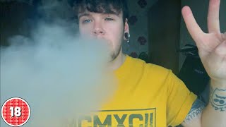 Elux Legend Disposable Vape Jungle Juice Flavour Review [upl. by Eiroj154]