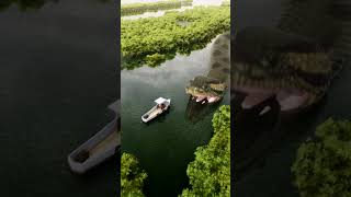 Giant Anaconda snake attacks small boat [upl. by Abeu]