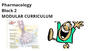 Pharmacology of Block 2  Part 1   MSK Module  All topics [upl. by Upali956]