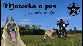 Motorka a pes  život s belgickým ovčákem [upl. by Tinaret]