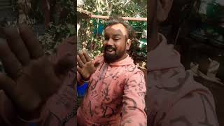 viral YouTube Moto cricket 💕😆🤘🙏 dancepunjabisong newsong comedy nasersheikheknathshinde love [upl. by Eekram]