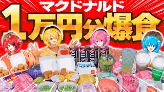 【実写神回】マック１万円分食べるまで帰れません！！！！！！ [upl. by Eltsirhc34]