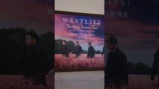 westlife  starlight the londoner macau [upl. by Anaeg56]