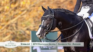 Sternlicht HTF 2010 Hanoverian Gelding by Soliman de Hus [upl. by Droffats657]