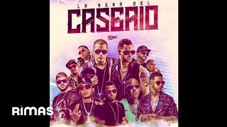 La Nena Del Caserio New Version Audio Oficial [upl. by Esiahc]