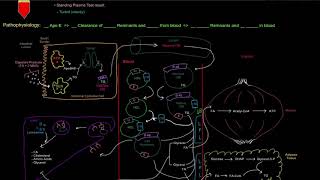 Hyperlipoproteinemia Type III Familial Dysbetalipoproteinemia free sample [upl. by Ignacio]