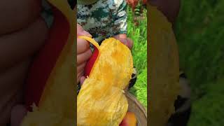 Satisfying fresh fruit mango apple fruit shorts [upl. by Levin]