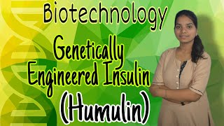 Genetically Engineered Insulin  HUMULIN Applications of biotechnology class12 NCERT NEET [upl. by Gatias]