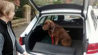 Boot Buddy Ltd Audi A4 Allroad Customer Feedback [upl. by Evangelia174]