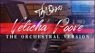 Velicha Poove  The Orchestral Version  Ethir Neechal  Anirudh  Piano Cover [upl. by Annaitsirhc]