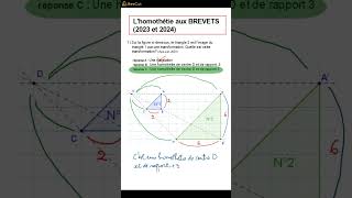 DNB 2024 Lhomothétie au BREVET [upl. by Renner820]