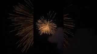 AMAZING FIREWORKS IN DIWALI 🎇🪔trending viralvideo fireworks [upl. by Vigen]