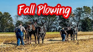 HORSE AND MULE PLOWING AT MIKE BREWINGTON’S FARM BARLOW KY 159 [upl. by Petracca]