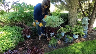 Planting in My Parent’s Garden 🥰🌿 Garden Answer [upl. by Eihtur]