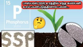 SSP உரத்தில் எது சிறந்தது  SSP best fertilizer company Brand [upl. by Anitsahs822]