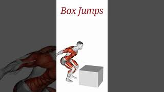 4 Power Moves to Boost Explosiveness  Quick Plyometric Workout [upl. by Gordie]