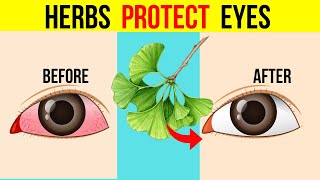 6 Herbs That PROTECT Eyes and REPAIR Vision [upl. by Shuping]