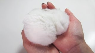 Fluffy Bunny Furball Sleeping in my Hand [upl. by Munford]