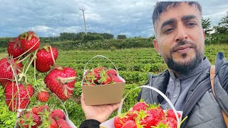 Day Out  Bells Farm Shop amp Pick Your Own 🍓🥰✨💎 [upl. by Merta182]