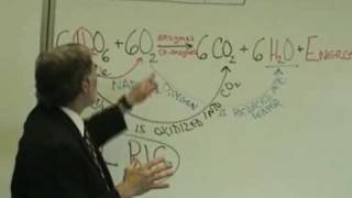 Professor Fink explains CELLULAR RESPIRATION Part 2 ATP Role of O2 [upl. by Standley]