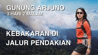 PENDAKIAN GUNUNG ARJUNO via SUMBER BRANTAS CANGAR  KEBAKARAN DI GUNUNG [upl. by Favin884]