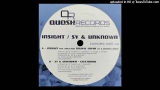 Insight Ft Emily Reed  Digital Lover  Sy amp Unknown Remix  QSH089  2009 [upl. by Anawait]