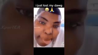 i just lost my dawg 😭🙏memes shorts goofyahh [upl. by Shermy]