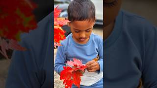 Rishaan is enjoying Fall Color l NH USA love baby [upl. by Adnirolc485]