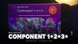 Component 123 [upl. by Justino]