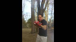 Shadow Boxing is Better with Gloves on youtubeshorts shadowboxing sports [upl. by Nodrog]