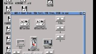 WinUAE Installation Guide  112  HardFiles FFS fast way Vs RDB method  by LemonAmigacom [upl. by Allisurd]