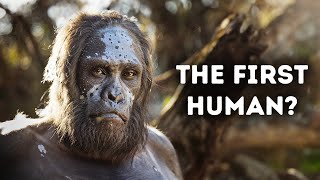 Evolution of Humans Documentary [upl. by Mail]