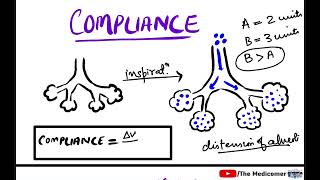 Lung Compliance  Respiratory Physiology [upl. by Kedezihclem7]