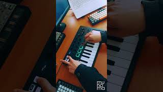 Culture Beat  Mr Vain Live Loop Cover  Minilab 3 ableton arturia [upl. by Oiramaj580]