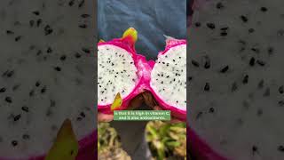 Selenicereus undatus  Also known as pitahaya Dragon Fruit is just as delicious as it is beautiful [upl. by Rebecka]