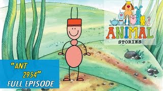 Animal Stories  Ep 15  Ant 2954 [upl. by Hampton]