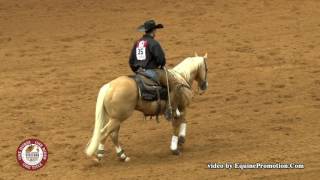 2017 Worlds Greatest Horseman Champions Heza Diamond Spark and John Swales [upl. by Gnanmos585]