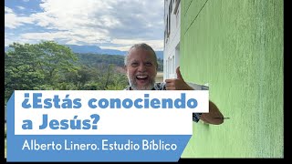 ¿Estás conociendo a Jesús  Alberto Linero  Reflexión Dominical [upl. by Ahsito]