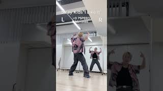 Slow amp Mirrored dancetutorial🔥Stray KidsquotI Like ItquotMirrored dance from back side shorts [upl. by Eceeryt]