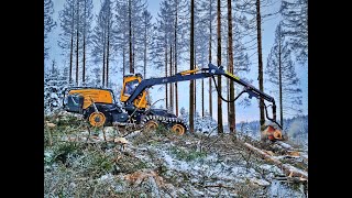 🌲WFW Ecolog 590E amp Logmax 7000 • HarvesterAction • Winterland • SnowLogging • Big trees • Forest 🌲 [upl. by Yetti]