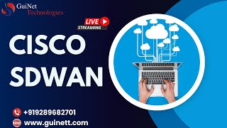 Become SDWAN Expert Zero to Hero Cisco SDWAN Live Training  By GuiNet  wwwguinettcom [upl. by Kotz]