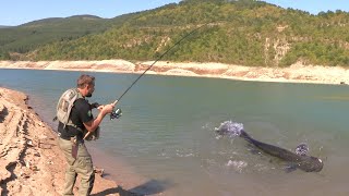 Pecanje soma i bele ribe na Zavojskom jezeru kod Stare planine  Fishing catfish [upl. by Nazus]