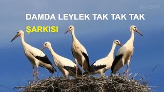 DAMDA LEYLEK TAK TAK TAK Okul Öncesi Şarkıları Altyazılı [upl. by Ozne]