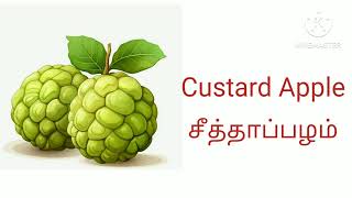 Fruits names in english and tamil  பழங்கள்  fruits names [upl. by Lodi]