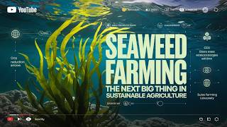 Seaweed Farming The Next Big Thing in Sustainable Agriculture [upl. by Feerahs712]